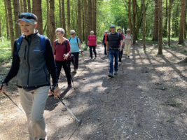 #Atelier marche nordique avec Sabine Lewkowicz, Sakura l'art du mouvement