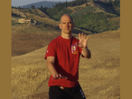 #Raphaël Lambrouin, enseignant de TaiChi, QiGong et RMA à Sakura l'art du mouvement